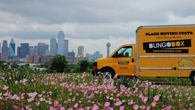 Bungobox Franchise Is Growing - Fms Franchise Bungobox Franchise Is Growing - Fms Franchise
