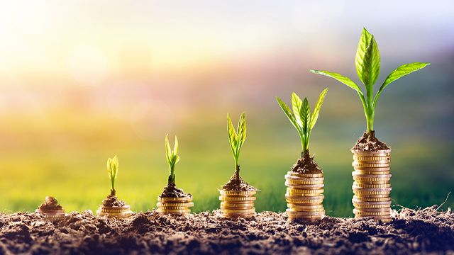 Franchise Consultants – The Key to Growth in Franchising