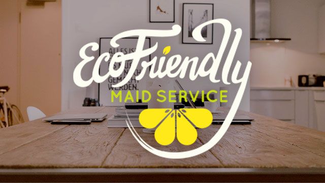 Eco Friendly Maids Franchise