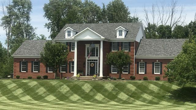 This Grass is Making Beautiful Lawns Manageable Across the U.S