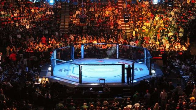 Ufc Franchise Sells For $4 Billion - Fms Franchise Marketing Systems Ufc