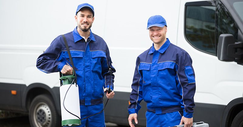 Happy Pest Control Workers Infront Of Van